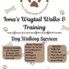 Dog Walking Availability